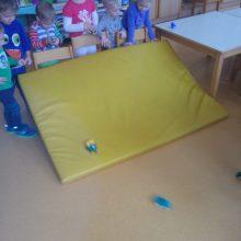 20170124 091111 e1494219474582 220x220 - Eksperimenti v skupini ptički