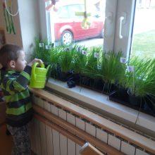 20170424 073359 220x220 - Eksperimenti v skupini ptički