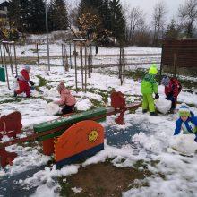 IMG 20181121 100940 220x220 - ZAPADEL JE PRVI SNEG...