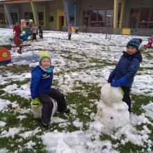 IMG 20181121 101755 220x220 - ZAPADEL JE PRVI SNEG...