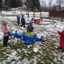 IMG 20181121 102129 220x220 - ZAPADEL JE PRVI SNEG...