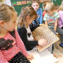 DSCN3348 220x220 - TRADICIONALEN SLOVENSKI ZAJTRK NA ENOTI RAKEK-&Scaron;OLA &hellip;