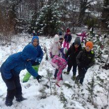 20191213 103704 220x220 - PRAV POSEBNO BOŽIČNO DREVO