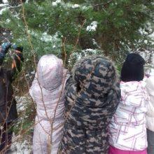 20191213 104239 220x220 - PRAV POSEBNO BOŽIČNO DREVO