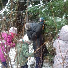 20191213 104242 220x220 - PRAV POSEBNO BOŽIČNO DREVO