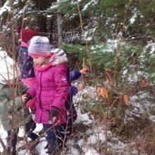 20191213 104340 220x220 - PRAV POSEBNO BOŽIČNO DREVO