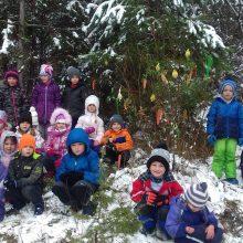 20191213 105036 220x220 - PRAV POSEBNO BOŽIČNO DREVO