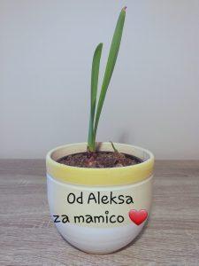 Rožice za materinski dan 20200325 101037 225x300 - Rožice za materinski dan