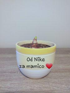 Rožice za materinski dan 20200325 101159 225x300 - Rožice za materinski dan