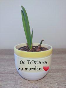 Rožice za materinski dan 20200325 101239 225x300 - Rožice za materinski dan