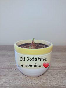 Rožice za materinski dan 20200325 101255 225x300 - Rožice za materinski dan