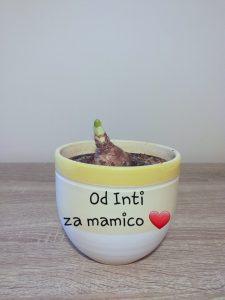 Rožice za materinski dan 20200325 101341 225x300 - Rožice za materinski dan