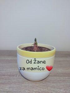 Rožice za materinski dan 20200325 101501 225x300 - Rožice za materinski dan