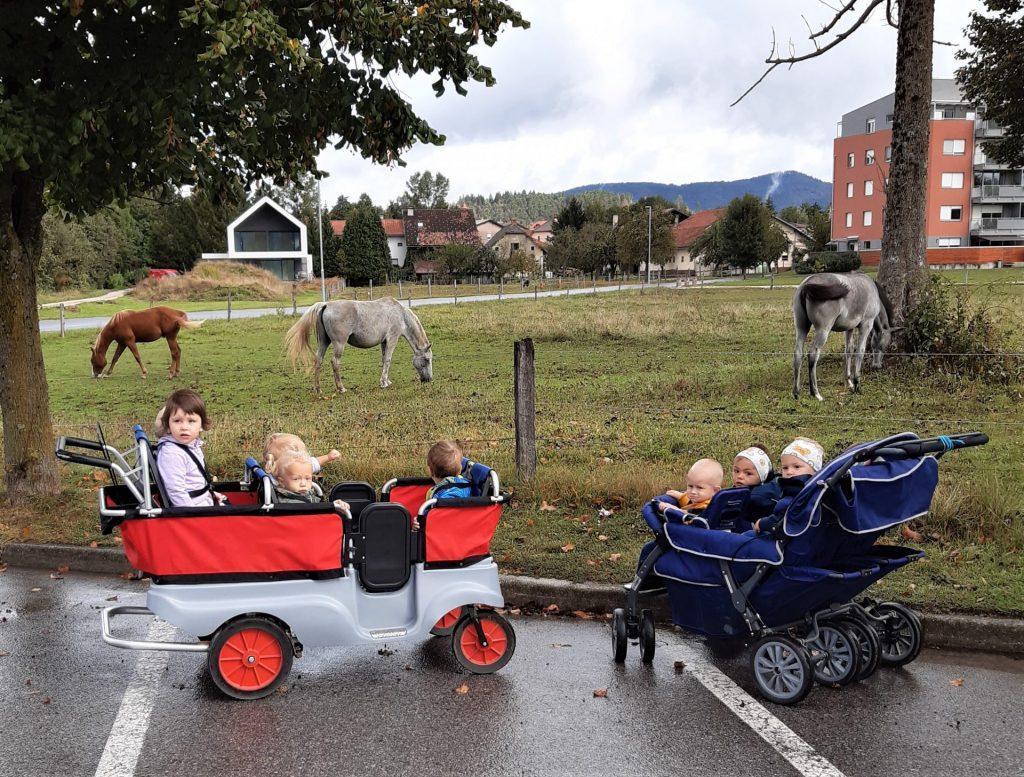 20200923 104034 1024x777 - RIBICE, DOBRODO&Scaron;LE V VRTCU