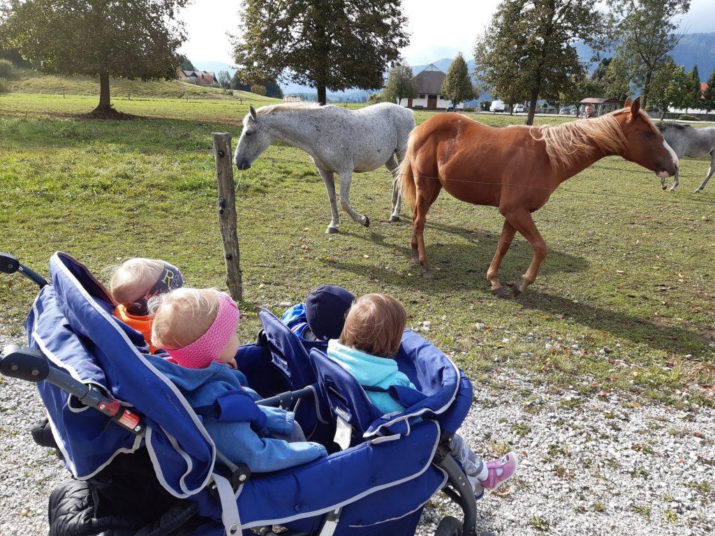 20201002 102438 1024x768 - RIBICE, DOBRODO&Scaron;LE V VRTCU