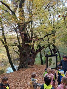20221012 110956 225x300 - TIGRČKI IN SLONČKI V RAKOVEM &Scaron;KOCJANU