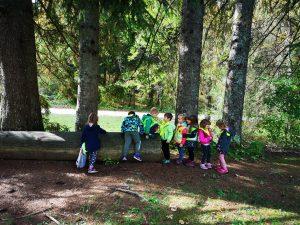 IMG 20221012 113853 300x225 - TIGRČKI IN SLONČKI V RAKOVEM &Scaron;KOCJANU