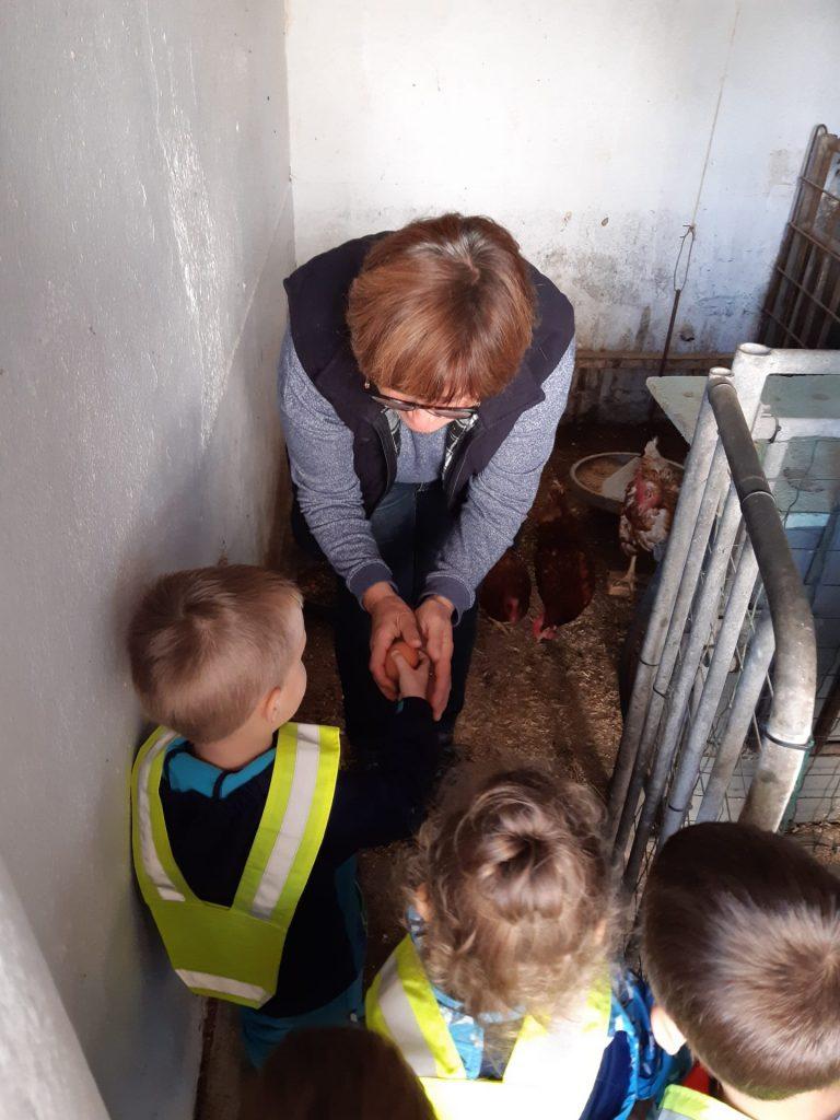 20221014 103955 768x1024 - PRI&Scaron;LI SMO NA KMETIJO, KJER ŽIVALI SO DOMA...