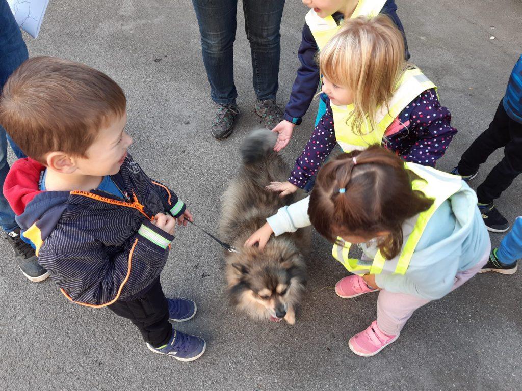 20221014 104409 1024x768 - PRI&Scaron;LI SMO NA KMETIJO, KJER ŽIVALI SO DOMA...