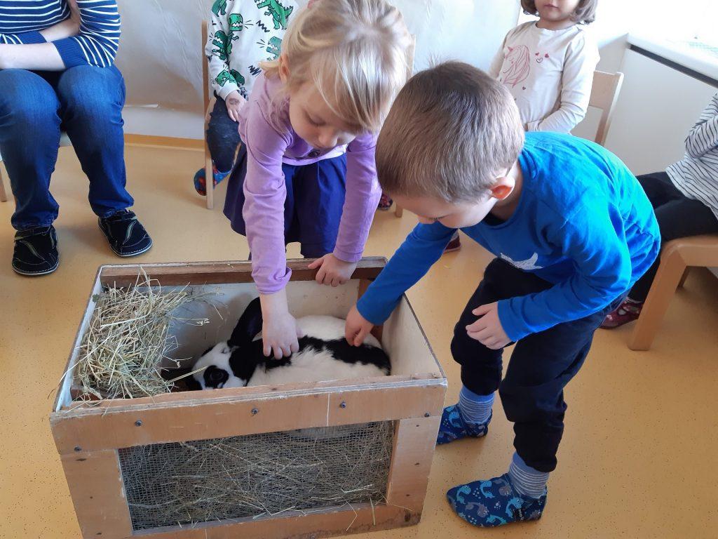 20221107 085851 1024x768 - PRI&Scaron;LI SMO NA KMETIJO, KJER ŽIVALI SO DOMA...