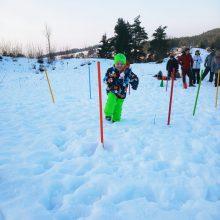 20230202 162729 220x220 - ZIMSKO SREČANJE MALIH PLANINCEV