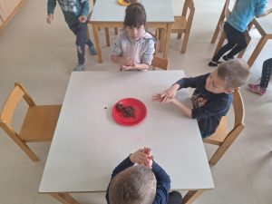 ad39e954c4bfc3c017b9bd6e815af9f2 300x225 - MI&Scaron;KE NA POPOLDANSKI ČAJANKI S STAR&Scaron;I