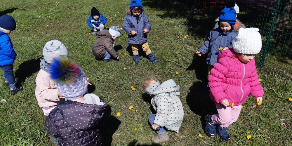 TA POMLAD JE NAGAJIVA…