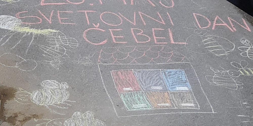 20. MAJ – SVETOVNI DAN ČEBEL