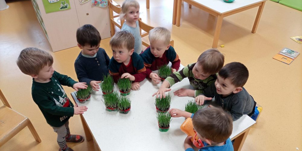 Praznični december pri Žabicah