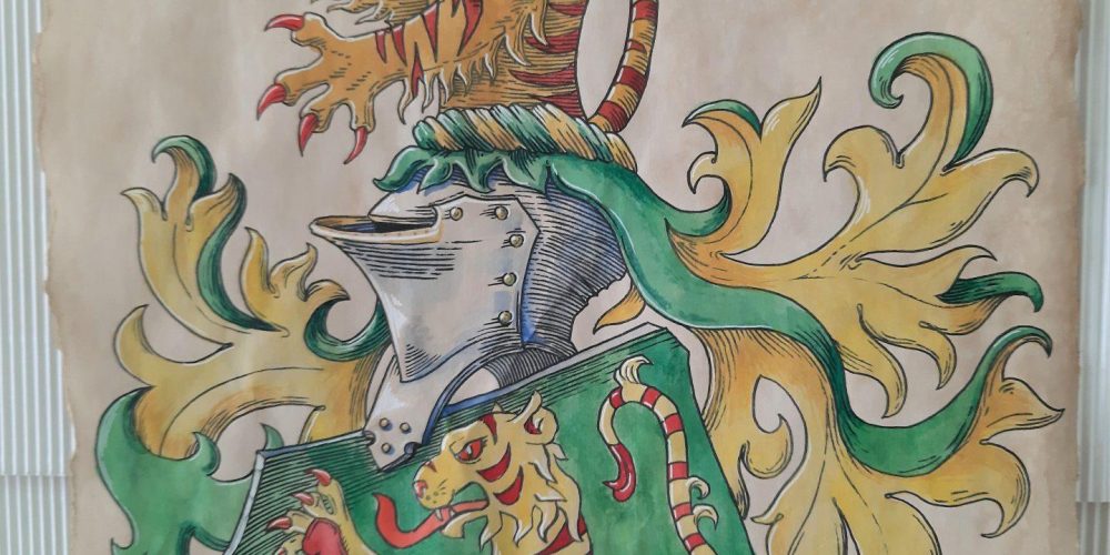 SODELOVANJE Z MAMICO IN OČKOM.…