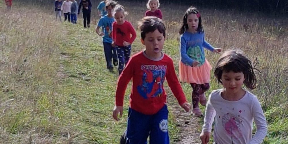 CICIKROS PRI MIŠKAH IN ČEBELICAH