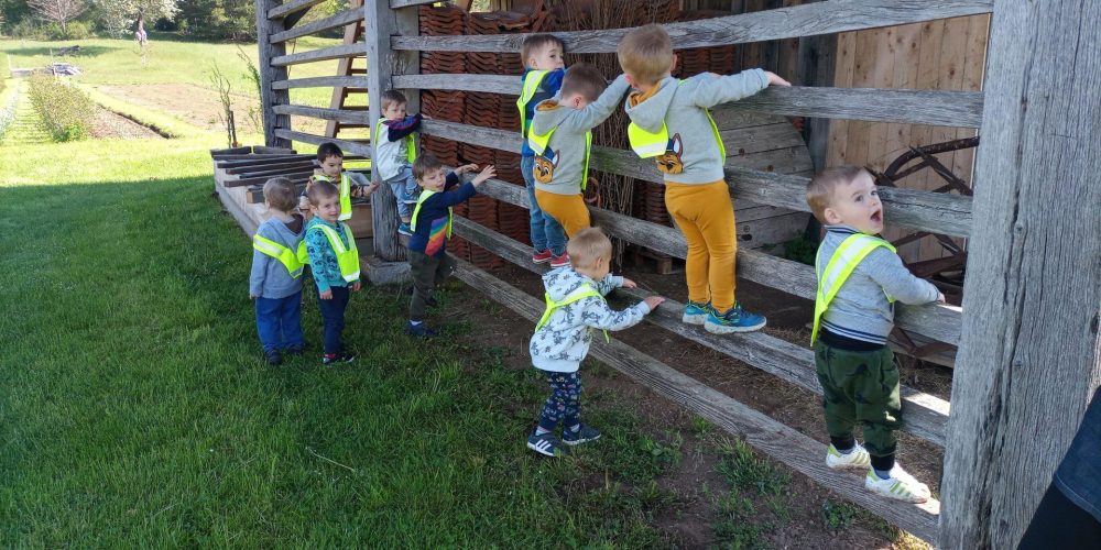 Z majhnimi koraki spoznavamo svet okoli nas