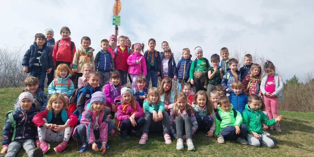 PIKAPOLONICE IN MIŠKE NA STRAŽNIKU