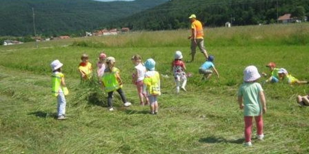 Obisk Turistične kmetije Logar