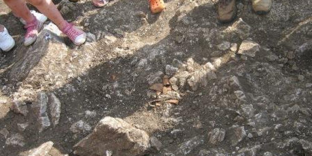ARHEOLOŠKE NAJDBE NA NAŠEM IGRIŠČU   (enota Cerknica – starejši trakt)