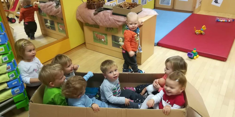 TEDNI BREZ IGRAČ PRI MUCAH